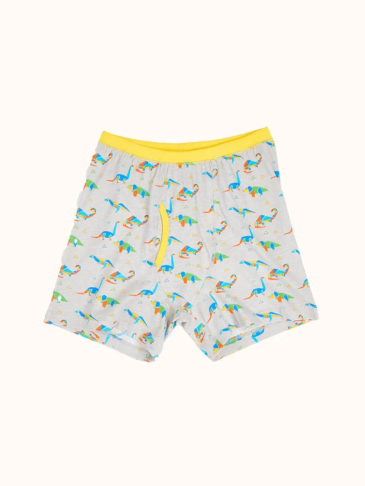 Boys' Geo Dino Short Sleeve Organic Cotton Pajama Set